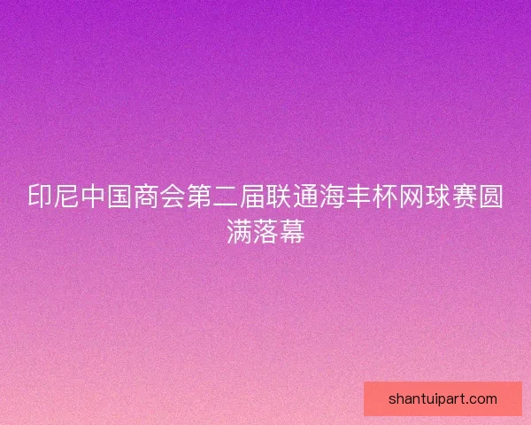 印尼中国商会第二届联通海丰杯网球赛圆满落幕