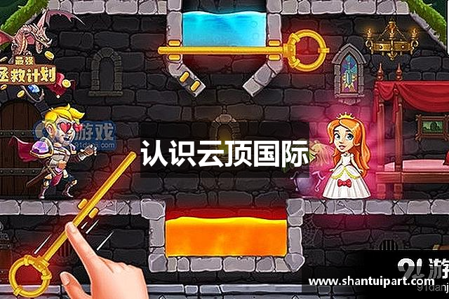 认识云顶国际